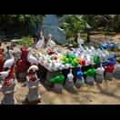 So etwas hatten wir bisher nur in Südostasien gesehen